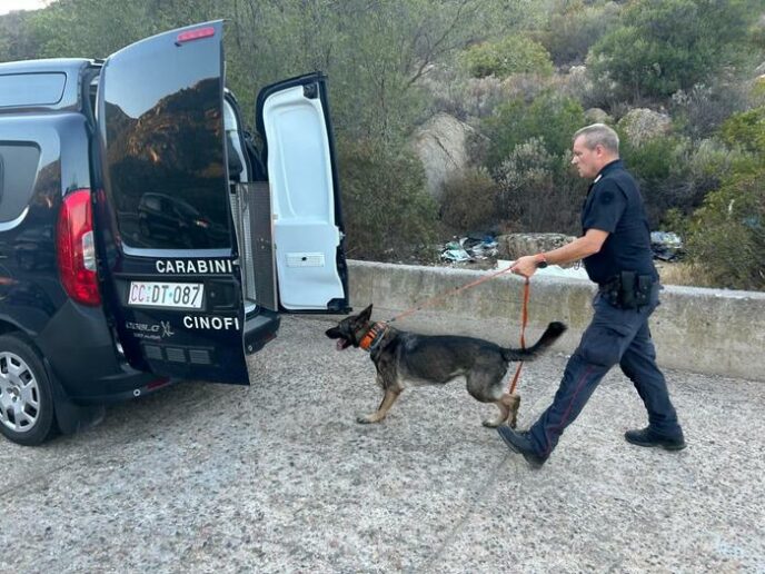 Scomparsa Francesca Deidda Resti Del Corpo Trovati Nelle Campagne Di